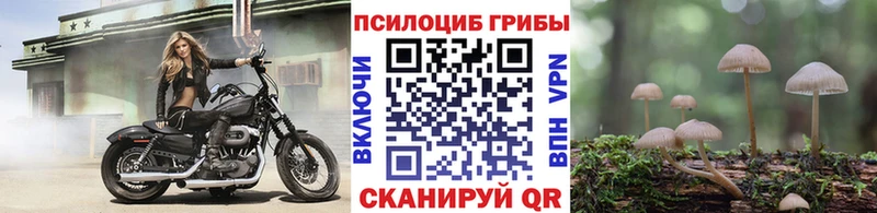 маркетплейс какой сайт даркнет сайт Новокузнецк Галлюциногенные грибы Magic Shrooms